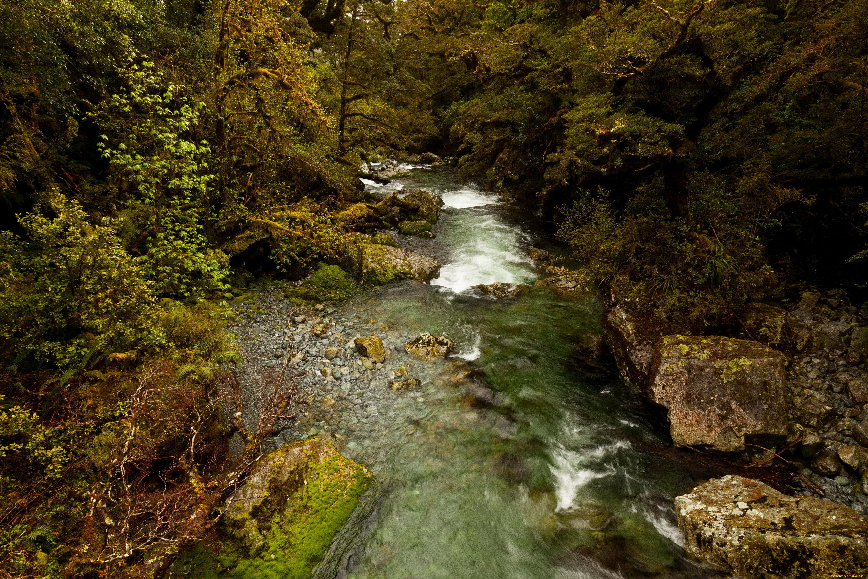 new zealand  fiordland national park, , , , park, fiordland, , , , 